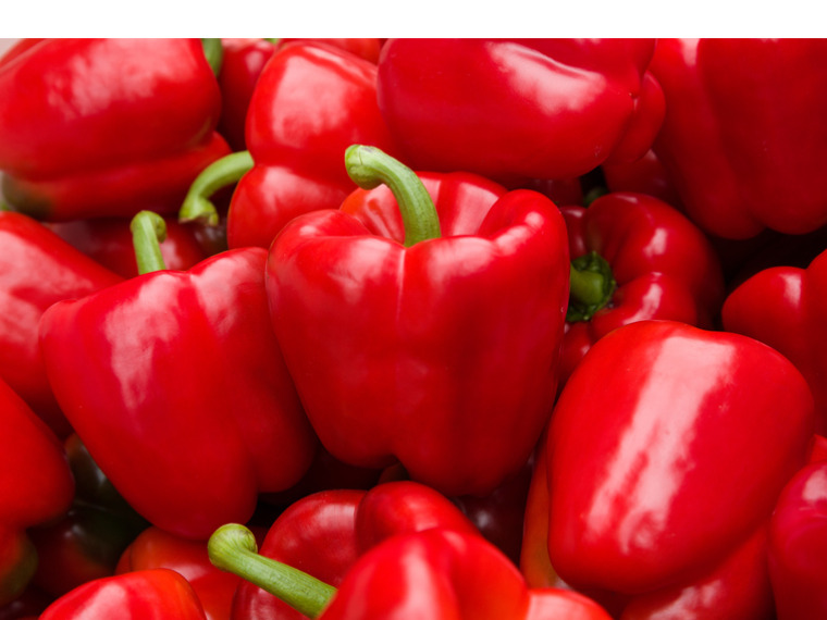 Nidia, Remco en Justin Bos