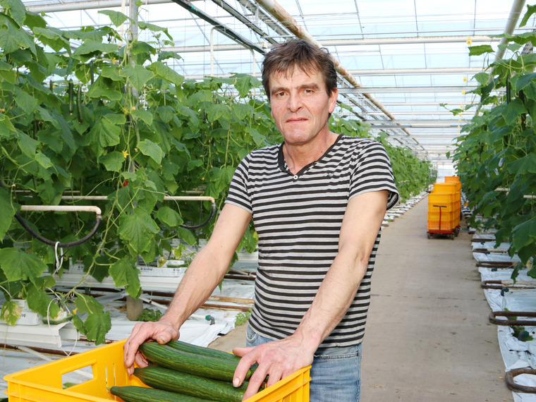 Koos Brouwer