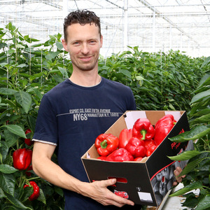 Jacco van den Ende