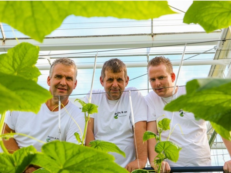 Jaap, Piet en Jan Reijm