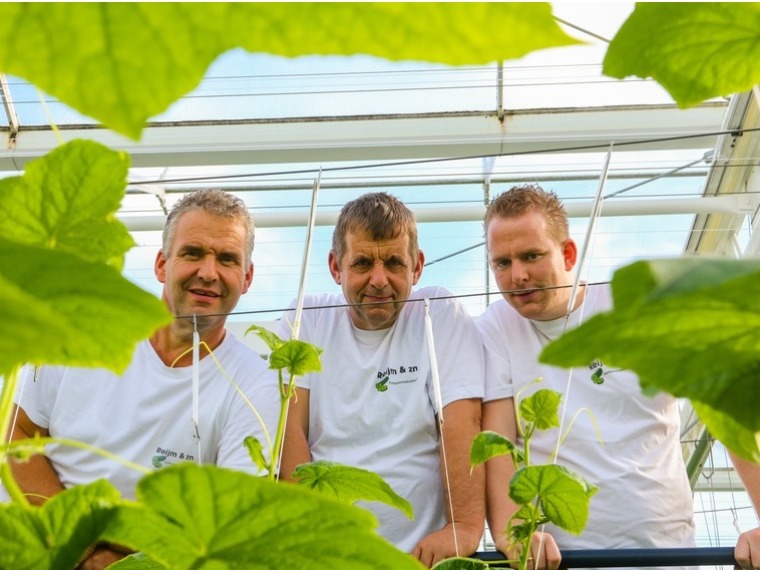 Jaap, Piet en Jan Reijm