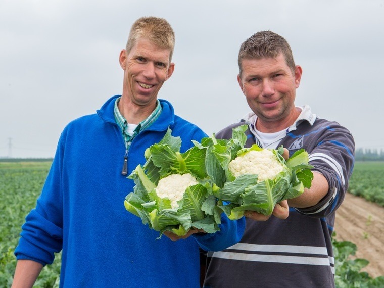 Bas en Pieter Huijser