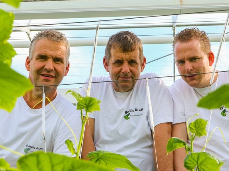 Vruchtgroentetelers zetten stappen naar 100% groen geteelde gewassen in eerste seizoen