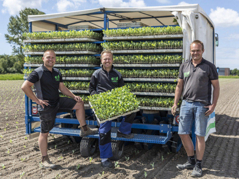 Familiebedrijf maakt droom waar dankzij krachtenbundeling Oxin Growers