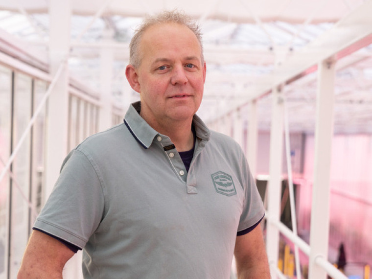 Oxin Growers past naadloos bij strategie Van den Belt Tomaten