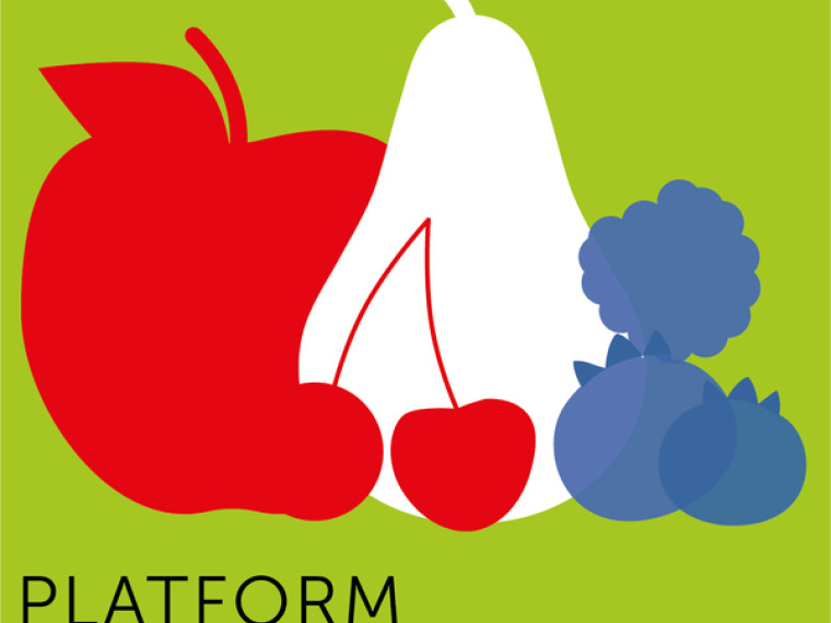 Platform FRUITVOORUIT.NL bestaat zes jaar!