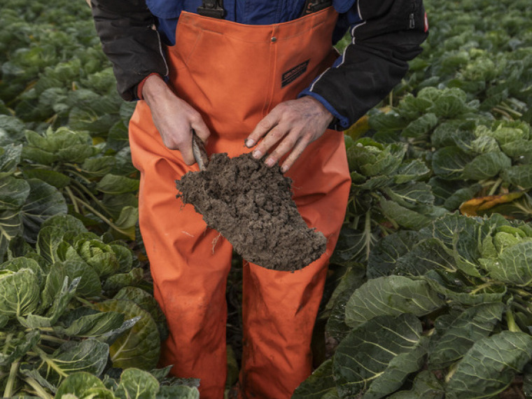 Oxin Growers zet stappen vooruit met onderzoek regeneratieve landbouw