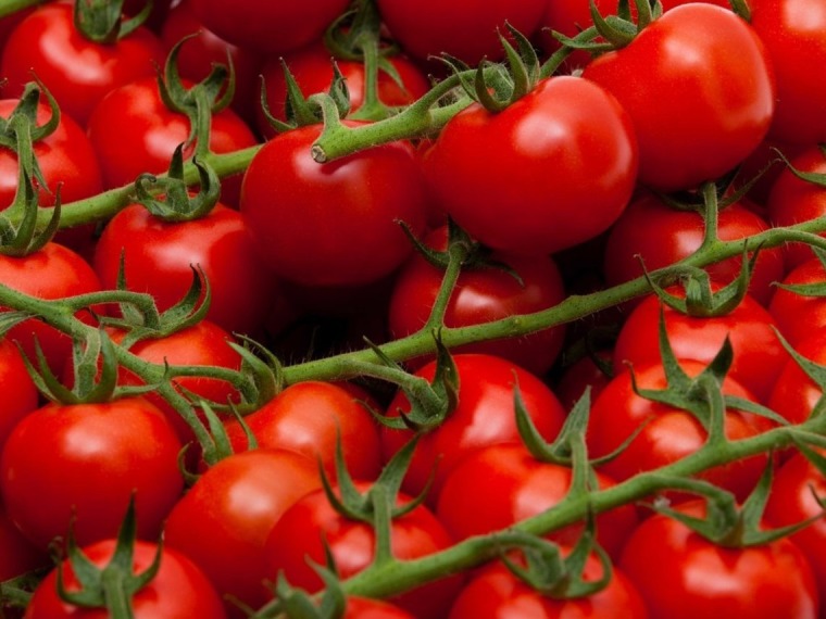 Cocktail tomatoes