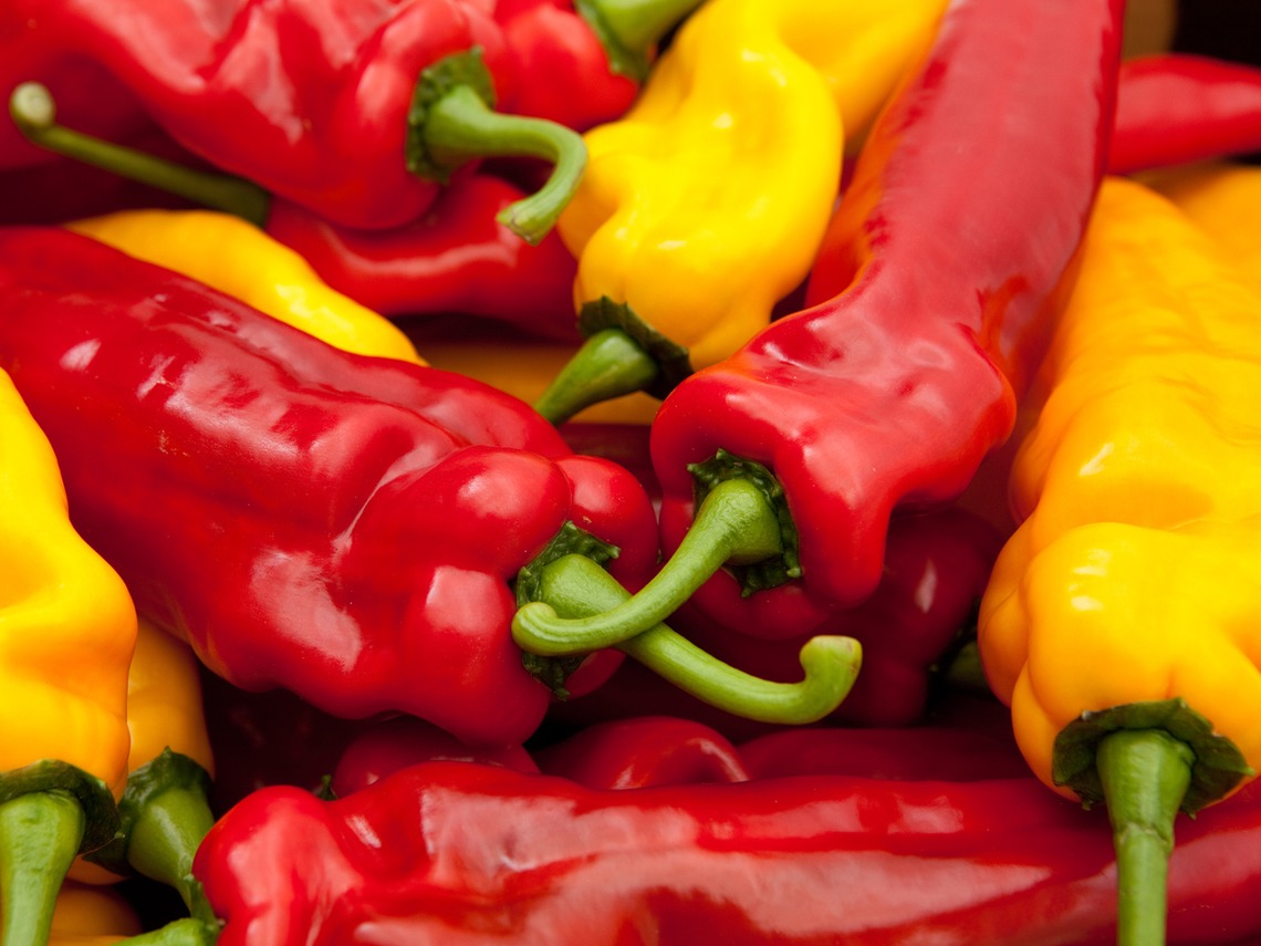 Paprika's OxinGrowers