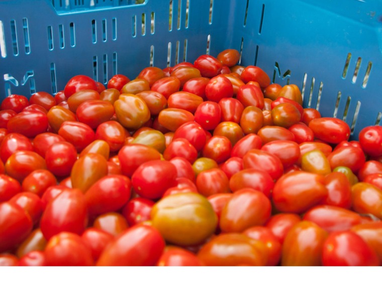 Snack tomatoes