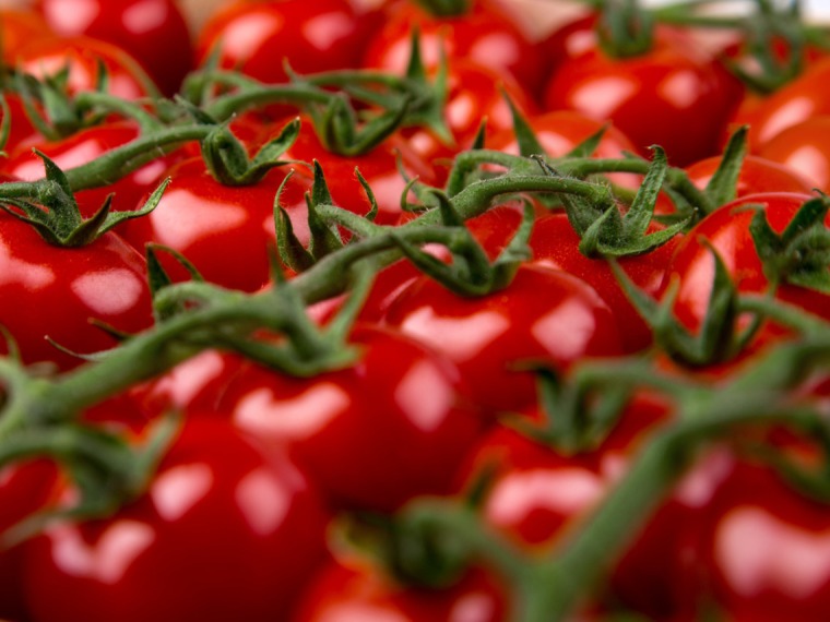 Cherry tomatoes on the vine